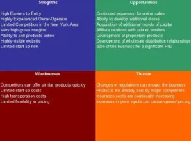Beach Resort SWOT Analysis Plus Business Plan